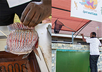 Ciala Resort - Dining- Experiential Dining